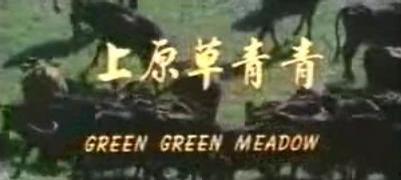 青青草原在线视频观看,青青草原在线视频精彩回顾  第2张